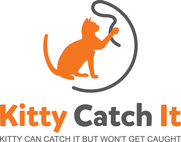 The Kitty Catch It String